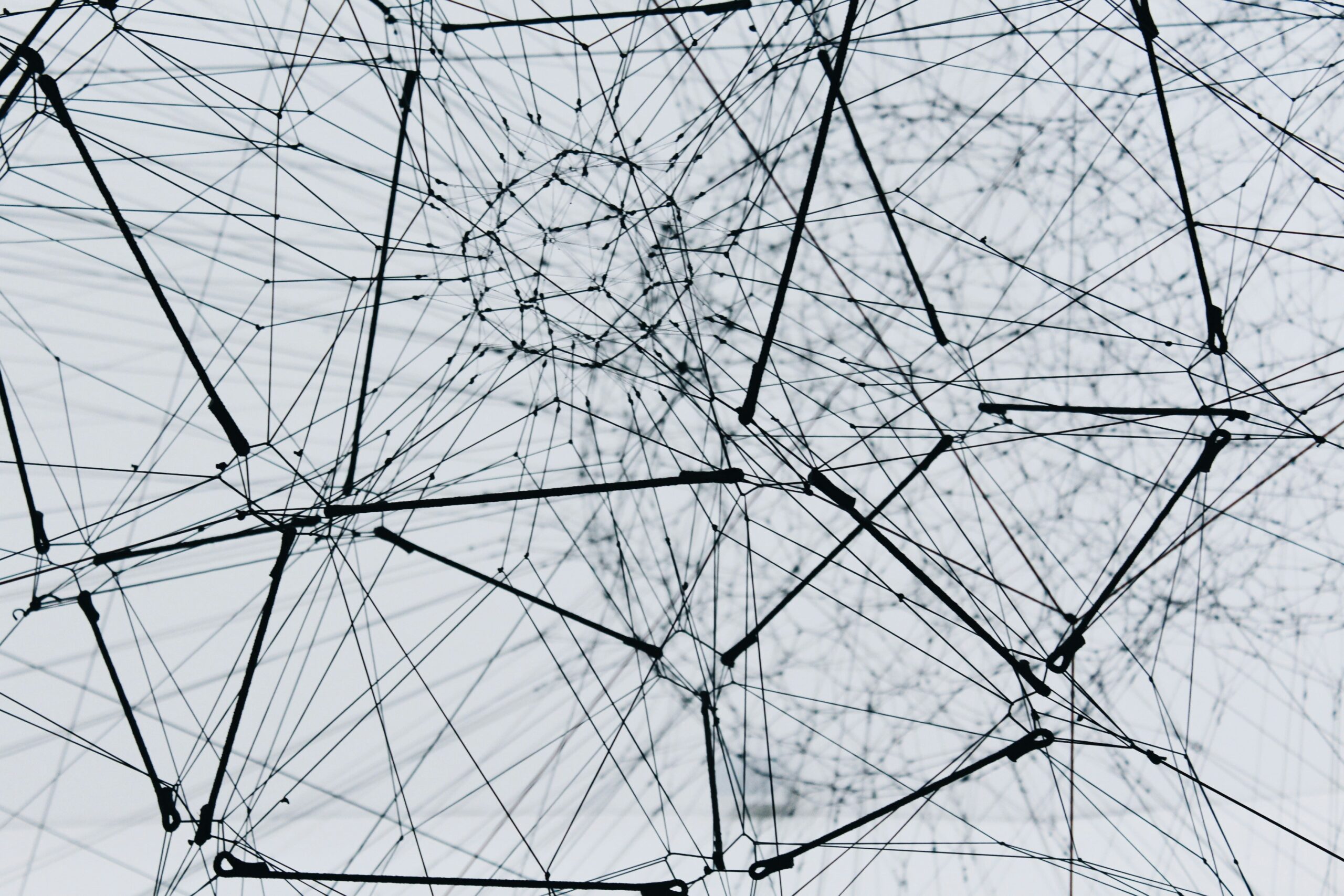 Senior Leadership: Networking is Necessary?