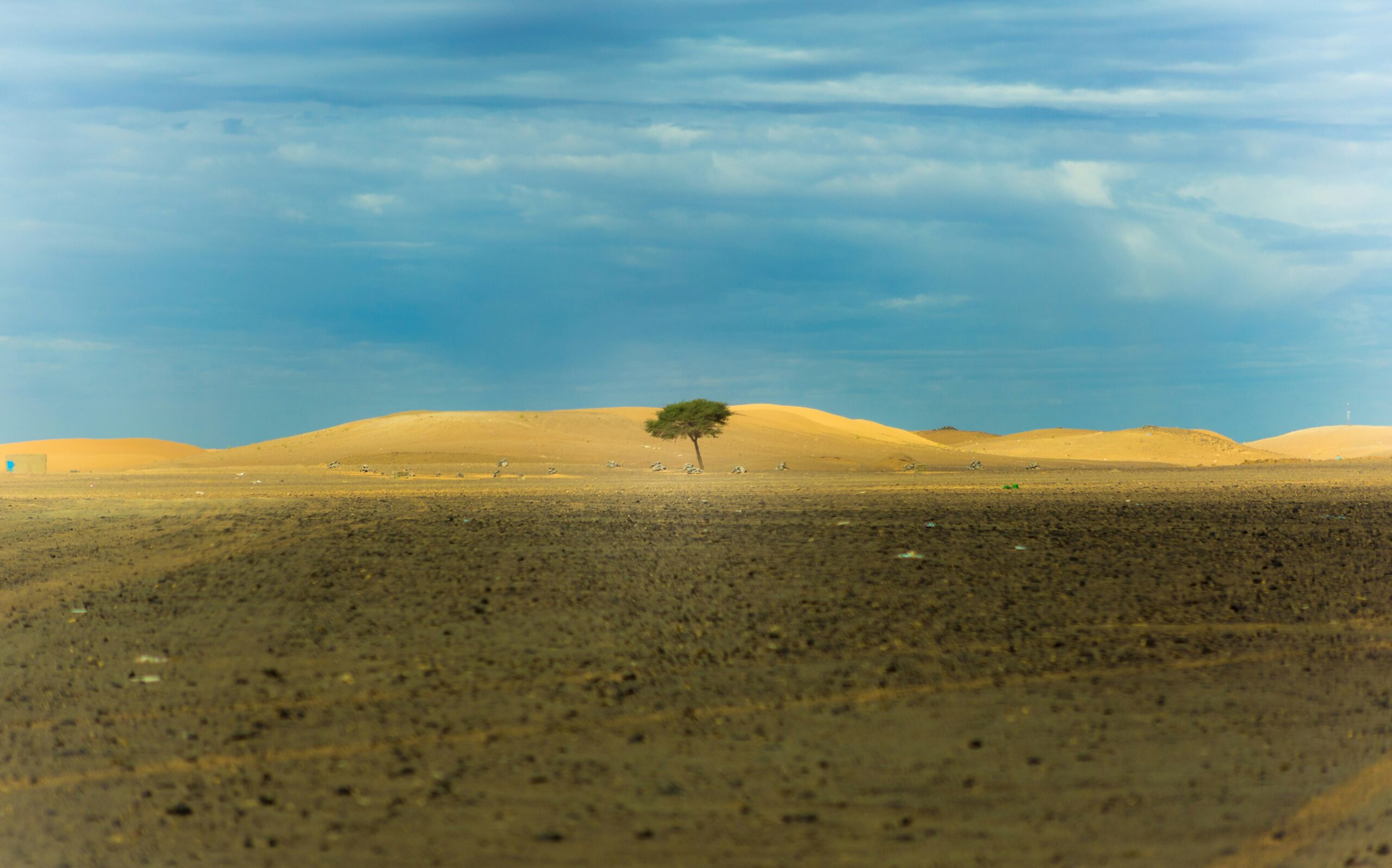 Senior Leadership: An Exercise in Resilience